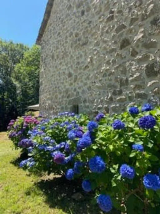 La Maioun, Entouree De La Foret Au Calme Golinhac Holiday home